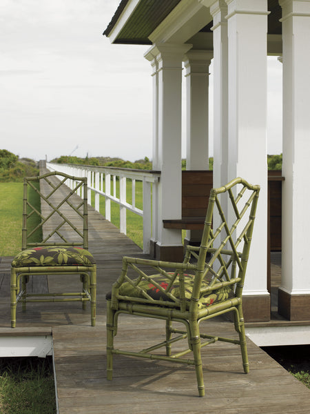 Ceylon Arm Chair