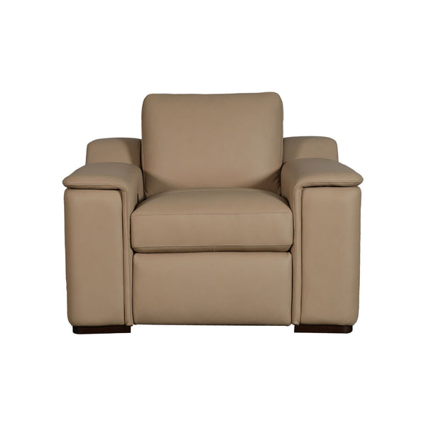 Armon Chair with Power Footrest ZG & WS - 6006FN-11P