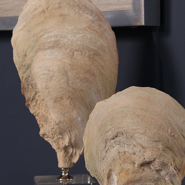 Uttermost Oyster Shell Sculptures, S/2