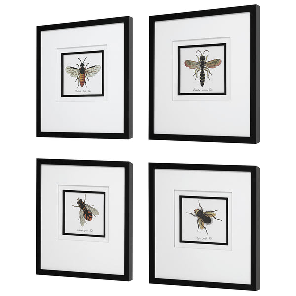 Uttermost Anthophila Framed Prints, S/4