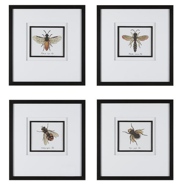 Uttermost Anthophila Framed Prints, S/4