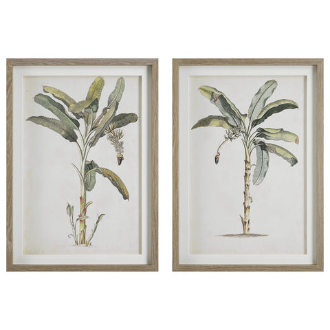 Uttermost Banana Palm Framed Prints, Set/2