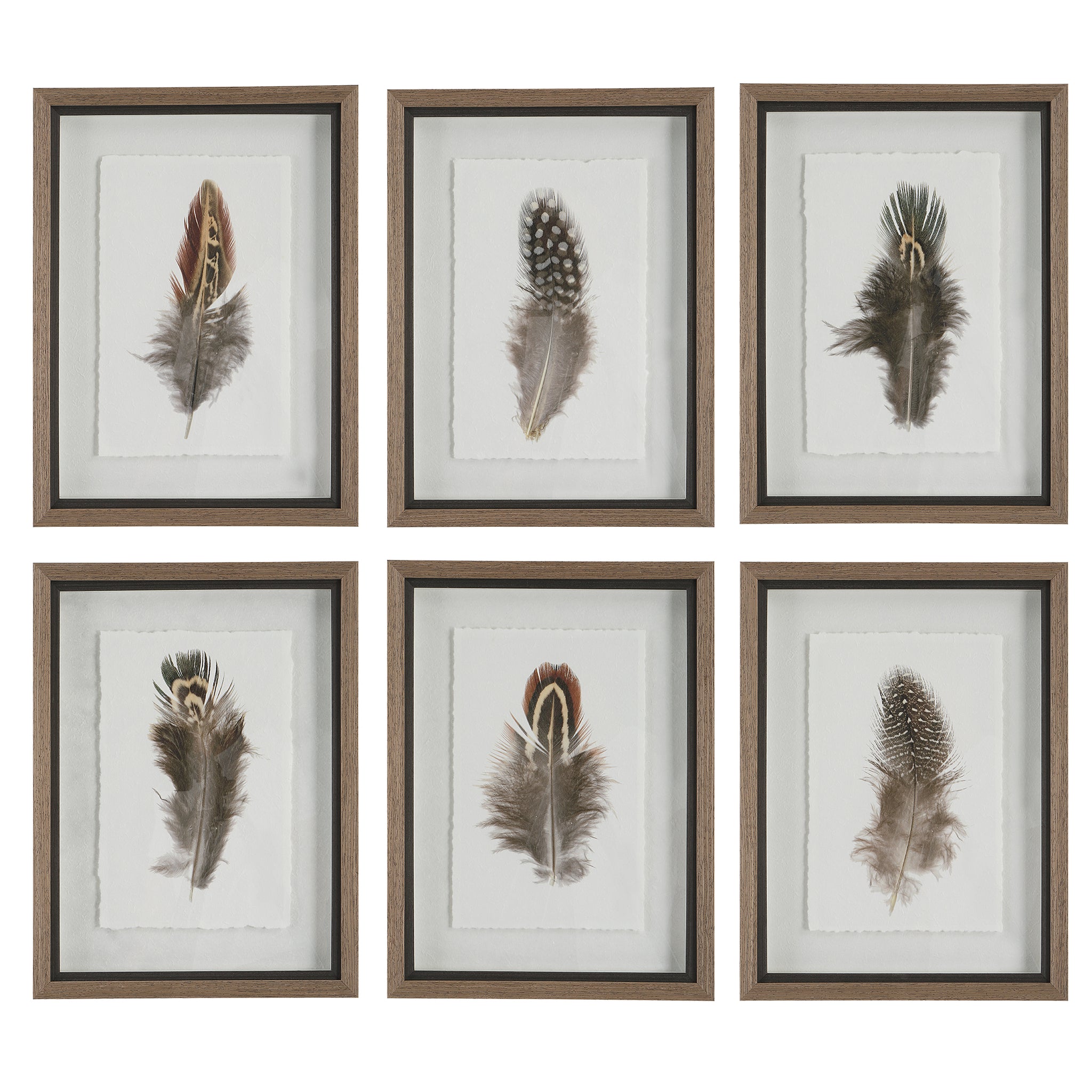 Uttermost Birds Of A Feather Framed Prints, S/6