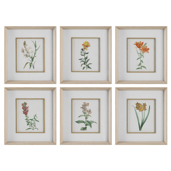 Uttermost Classic Botanicals Framed Prints Set/6