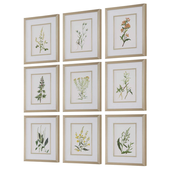 Uttermost Botanical Flowers Framed Prints Set/9