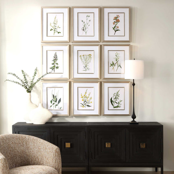 Uttermost Botanical Flowers Framed Prints Set/9