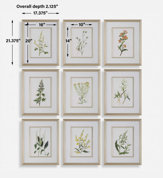 Uttermost Botanical Flowers Framed Prints Set/9