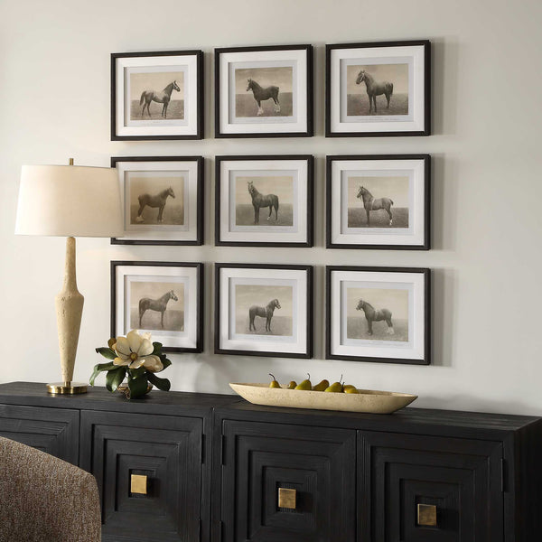 Uttermost Equine Dynasty Framed Prints Set/9