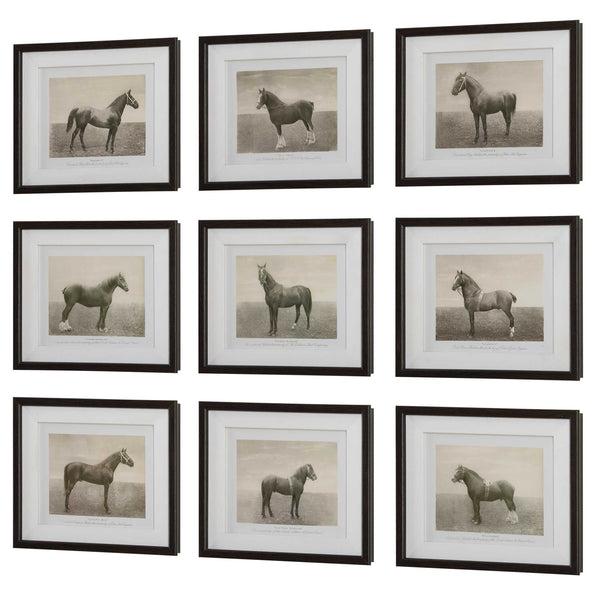 Uttermost Equine Dynasty Framed Prints Set/9