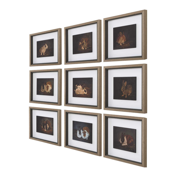 Uttermost Resting Bunny Framed Prints Set/9