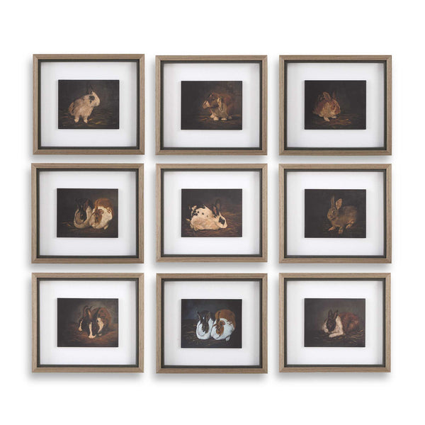 Uttermost Resting Bunny Framed Prints Set/9