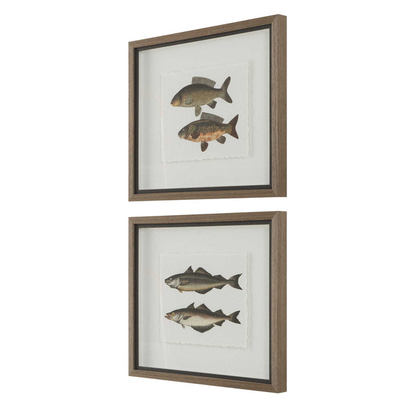 Uttermost The Catch Framed Fish Prints Set/2
