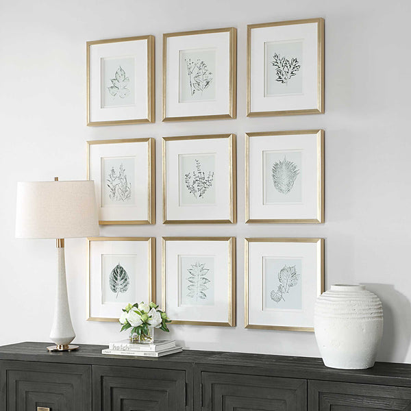 Uttermost Nature's Script Framed Botanical Prints Set/9