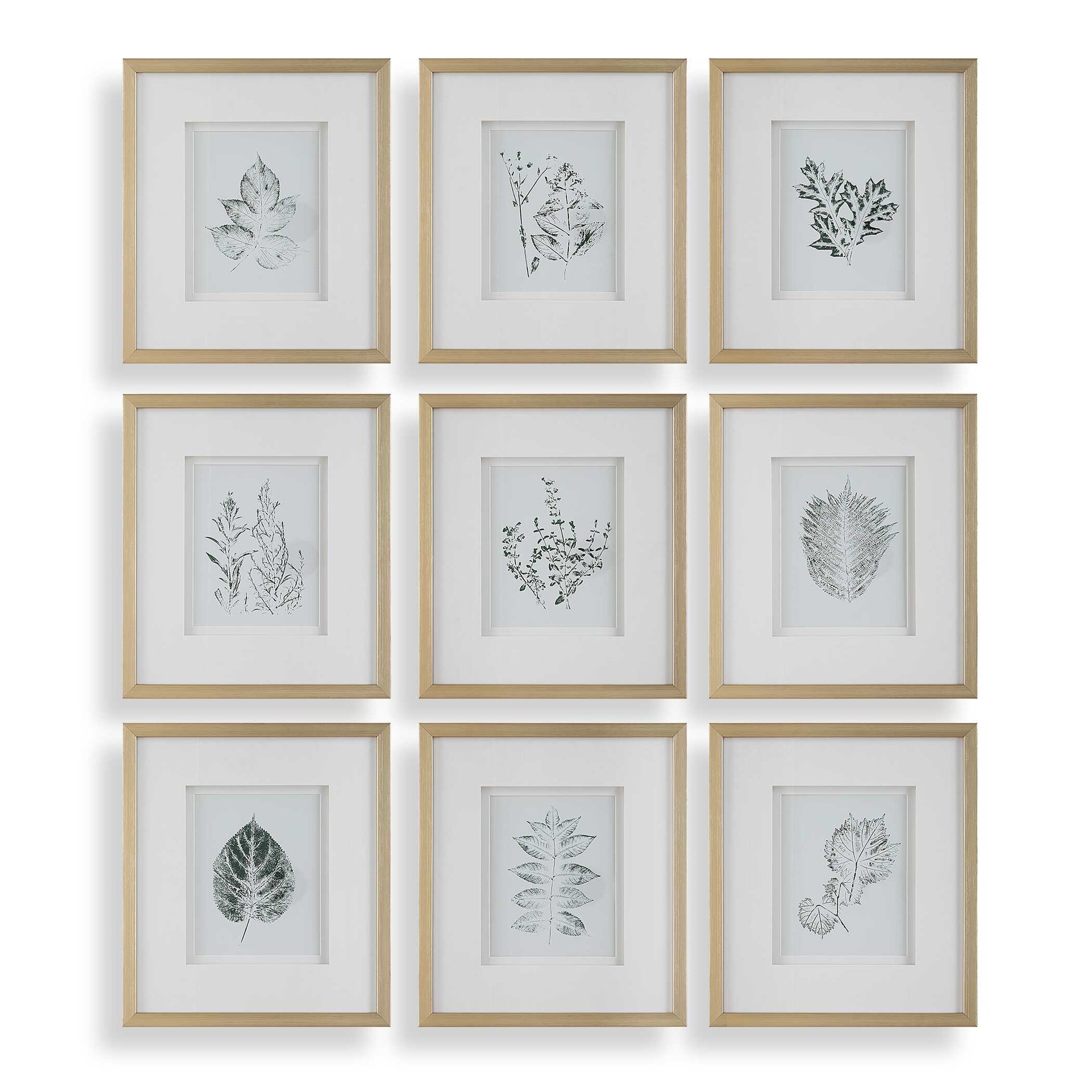 Uttermost Nature's Script Framed Botanical Prints Set/9