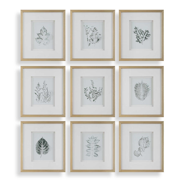 Uttermost Nature's Script Framed Botanical Prints Set/9