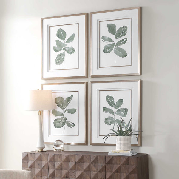 Uttermost Fiddle Head Leaf Botanical Prints Set/4