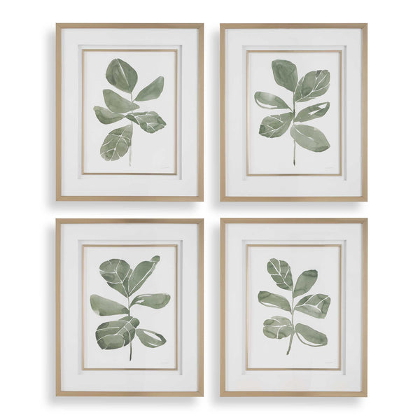 Uttermost Fiddle Head Leaf Botanical Prints Set/4