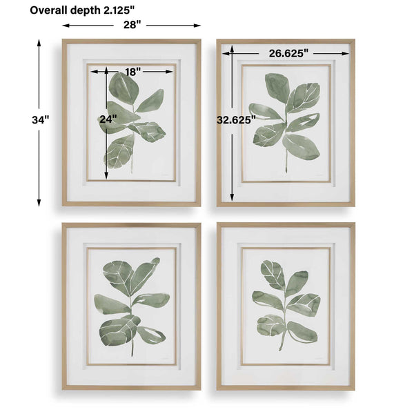 Uttermost Fiddle Head Leaf Botanical Prints Set/4