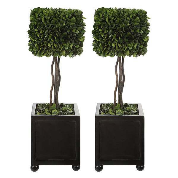 Uttermost Preserved Boxwood Square Topiaries, S/2