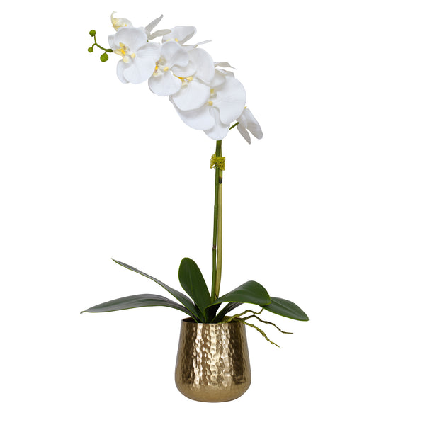 Uttermost Cami Orchid With Brass Pot