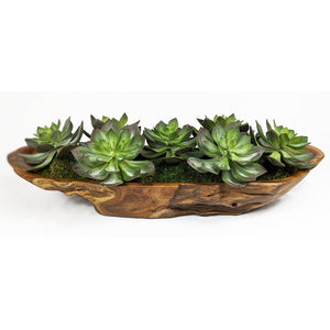 Uttermost Yuma Succulent Centerpiece