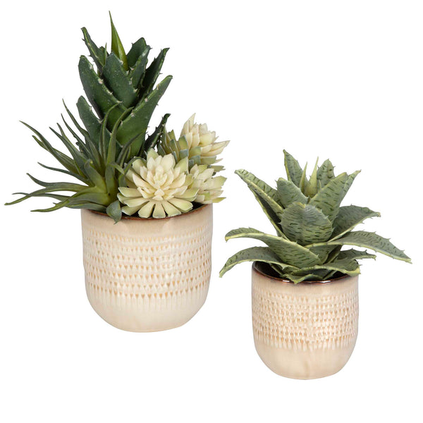 Uttermost Seaside Succulents Set/2