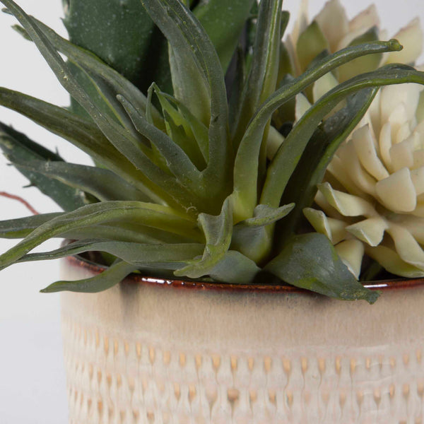 Uttermost Seaside Succulents Set/2