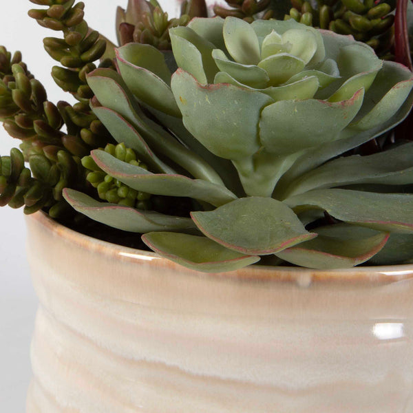 Uttermost Mesa Succulent Accent