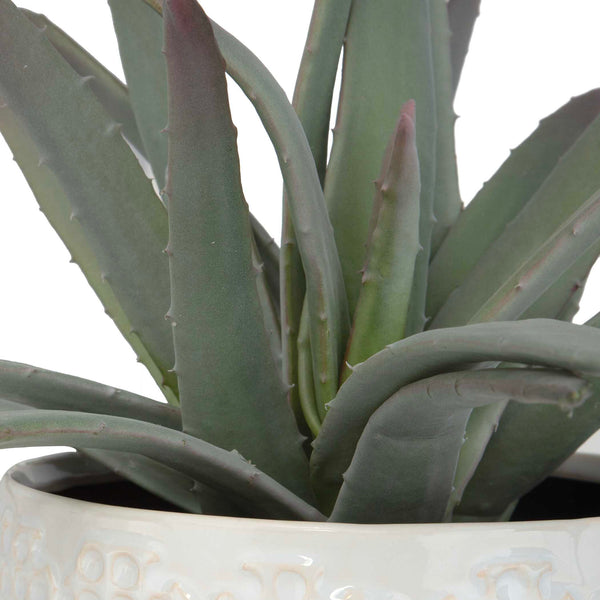 Uttermost Taos Aloe Centerpiece