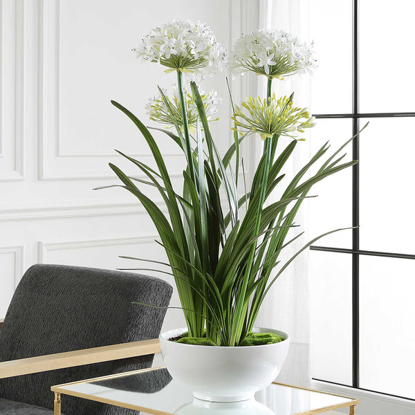 Uttermost Purity Agapanthus Centerpiece