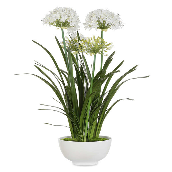 Uttermost Purity Agapanthus Centerpiece