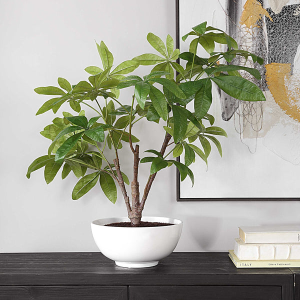 Uttermost Pachira Money Tree