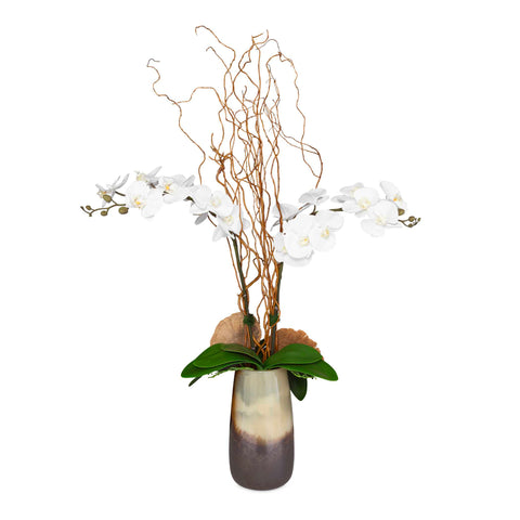 Uttermost Earthbound Orchid With Vase