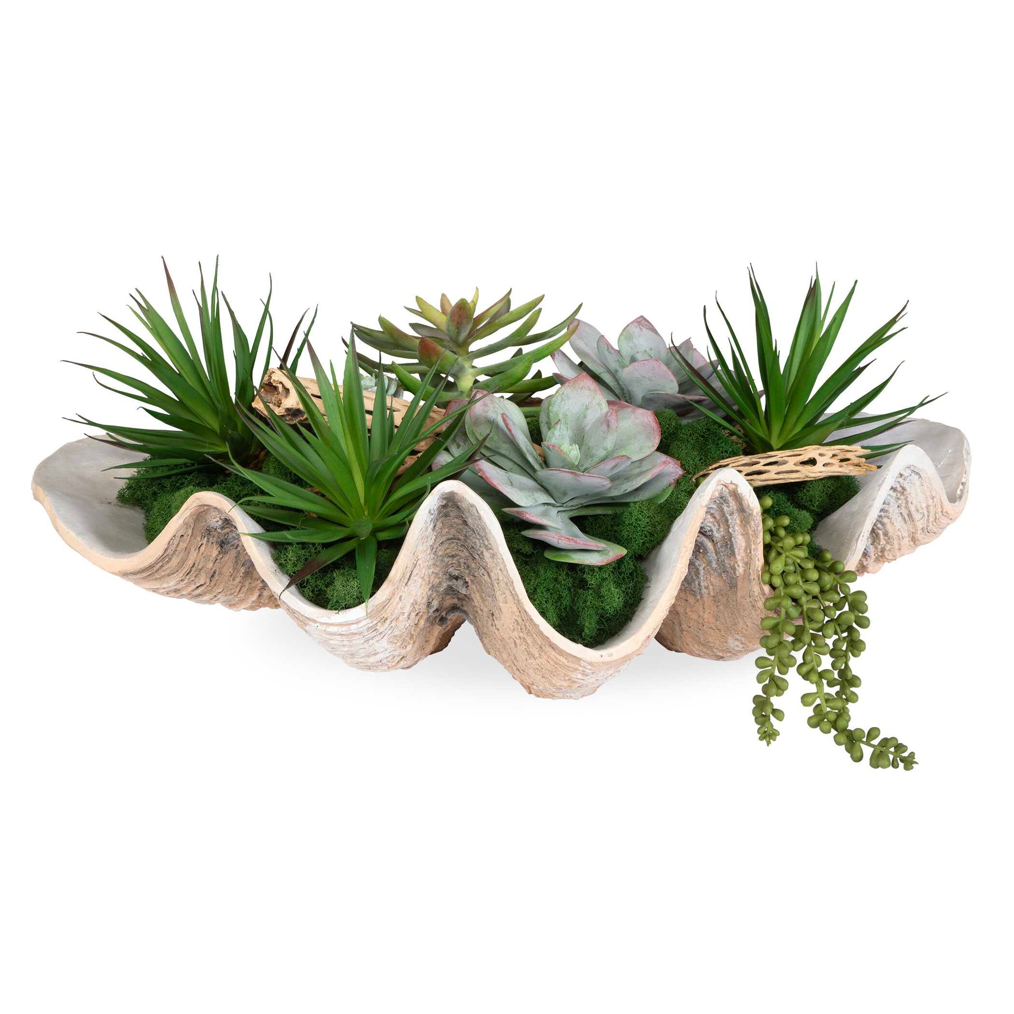 Uttermost Seaside Breeze Succulents