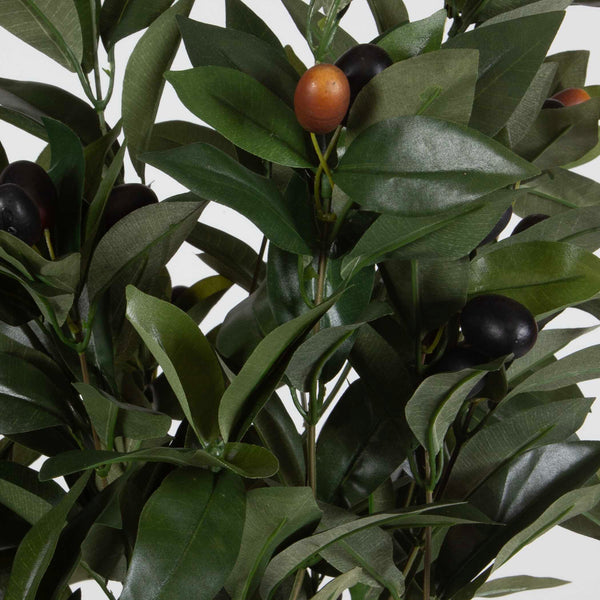 Uttermost Elena Olive Centerpiece