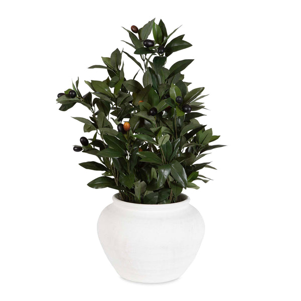 Uttermost Elena Olive Centerpiece