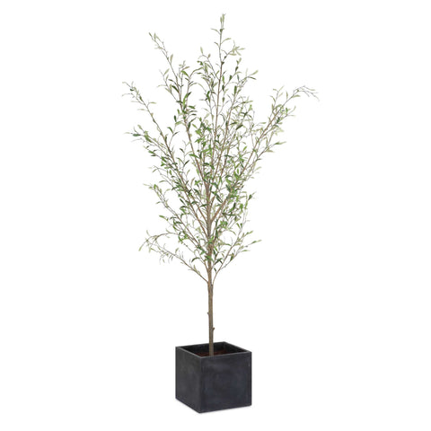Uttermost Abundance Potted Olive Tree