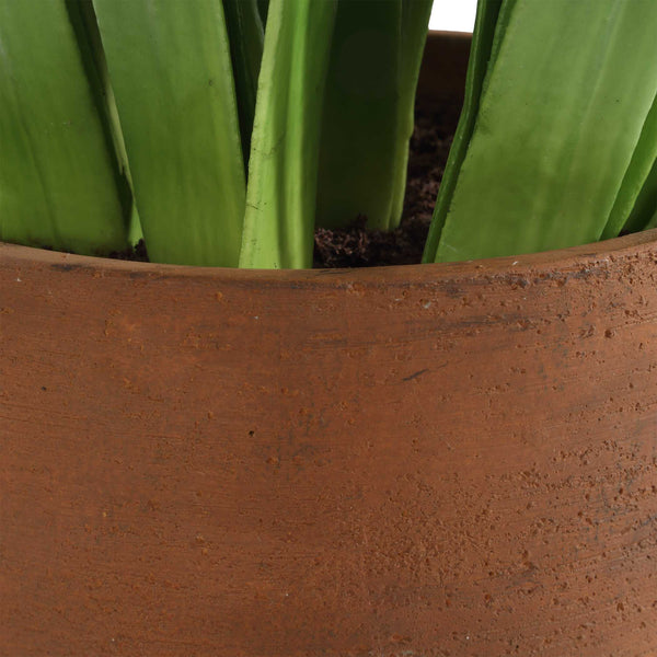 Uttermost Sincerity Potted Hyacinth Plant