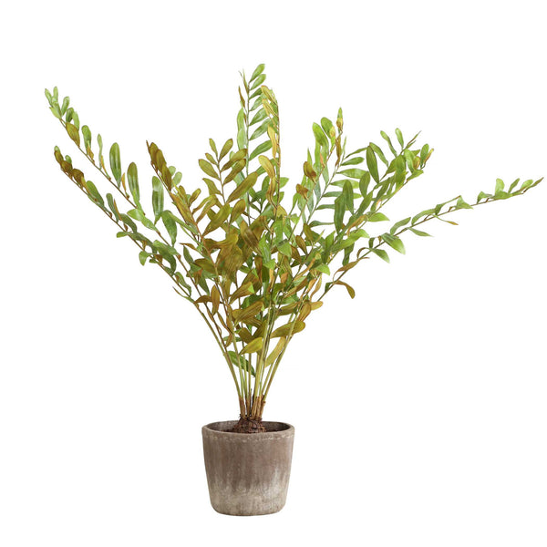 Uttermost Zamia Palm Accent In Planter