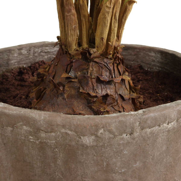 Uttermost Zamia Palm Accent In Planter