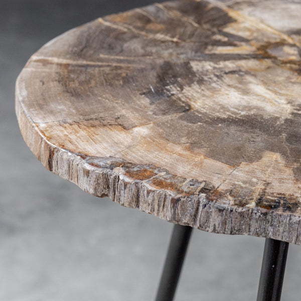 Uttermost Mircea Petrified Wood Accent Table
