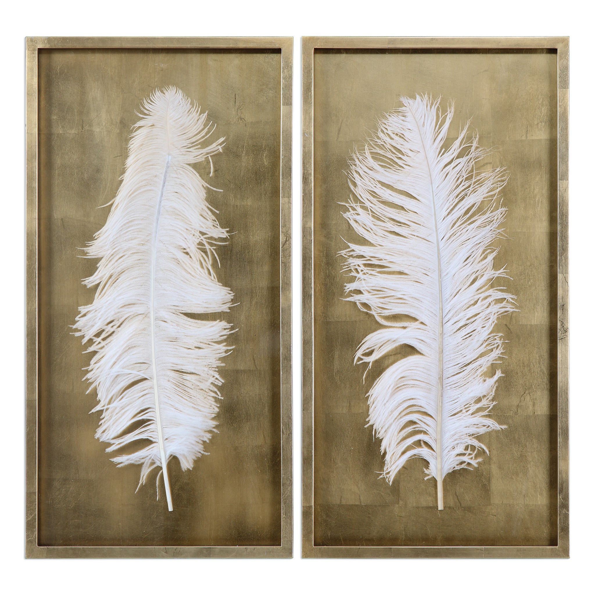 Uttermost White Feathers Gold Shadow Box S/2