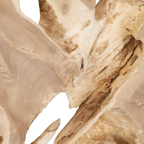 Uttermost Terrains Natural Wood Wall Decor