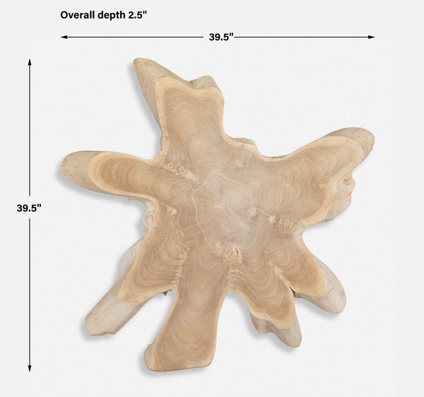 Uttermost Terrains Natural Wood Wall Decor